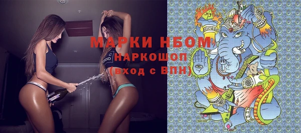 стаф Абаза
