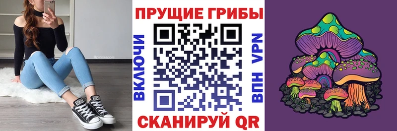 Галлюциногенные грибы мицелий  Петров Вал 